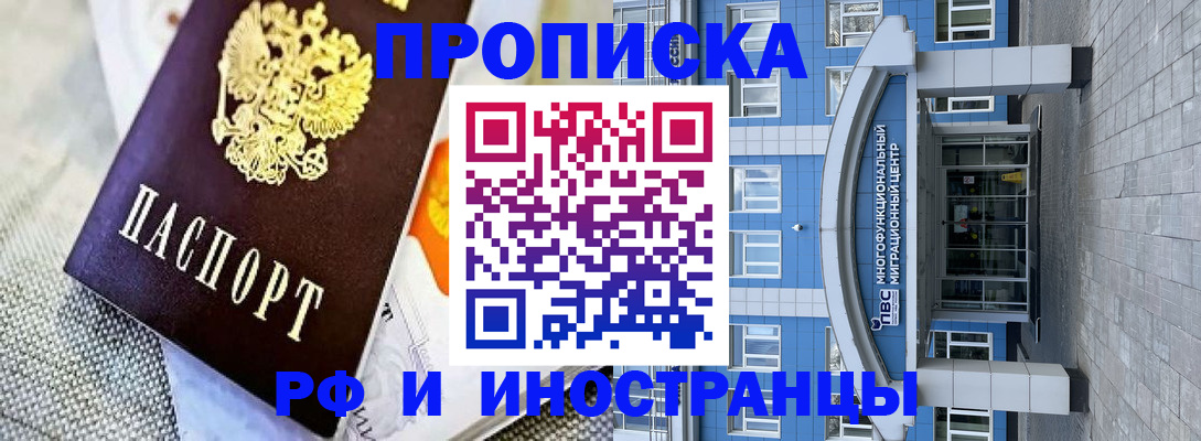 прописка законно в Кингисеппе
